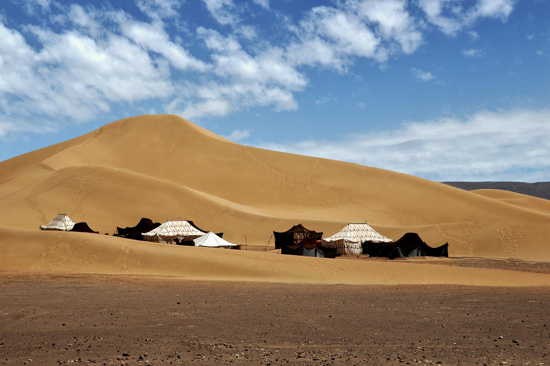Namioty koczownicze rozbite pośród wysokich saharyjskich wydm