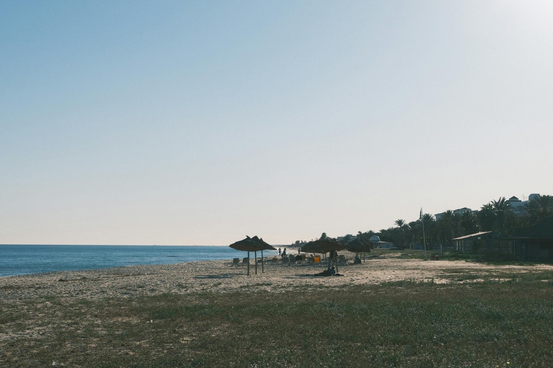 Pusta plaża w Tunezji o zachodzie słońca z palmowymi parasolami