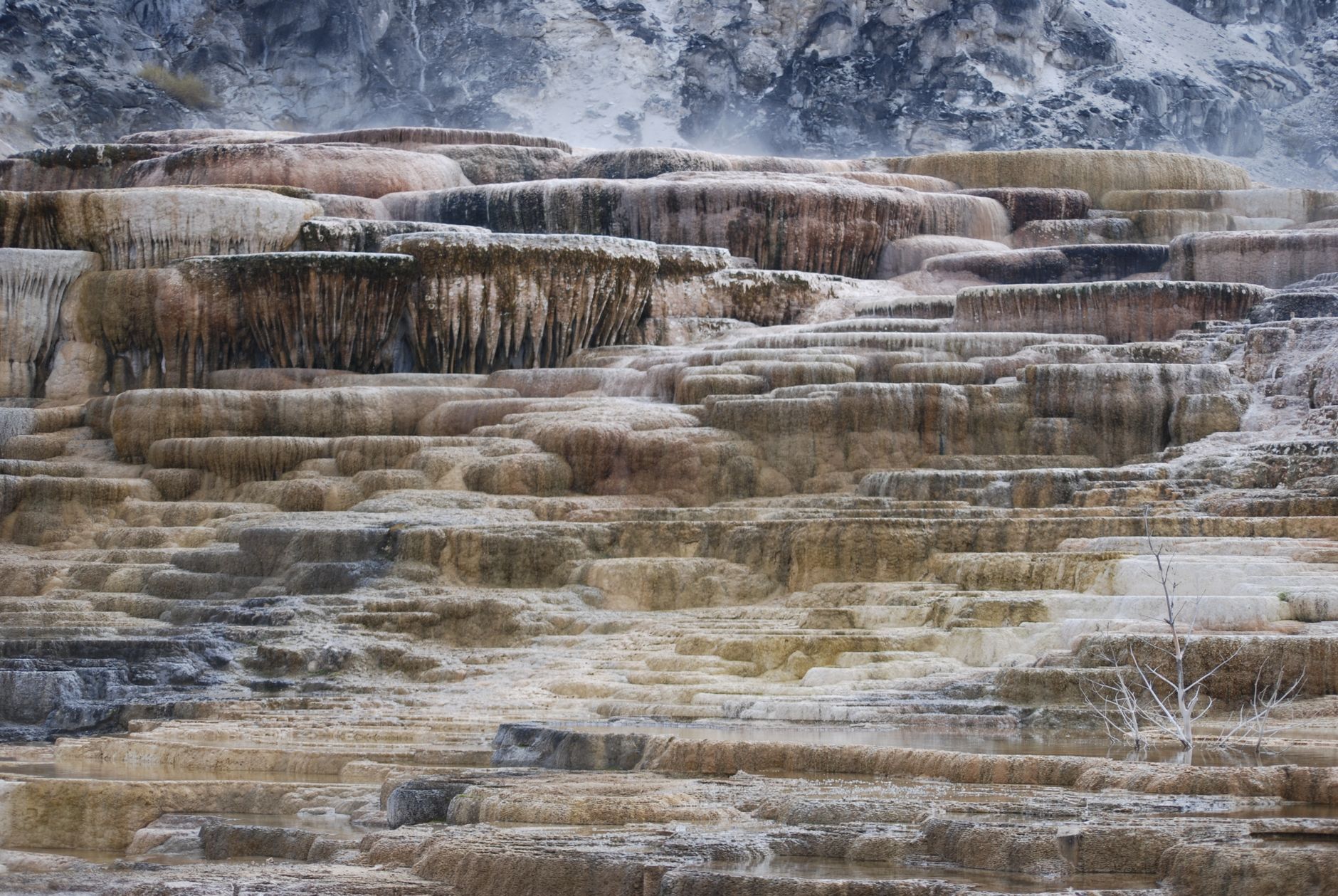 Wapienne tarasy Mammoth Hot Springs z gorącymi źródłami i trawertynem